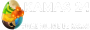 Kamas 24 dofus