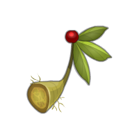 Ginseng ALCHIMISTE DOFUS