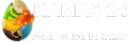 kamas 24 dofus